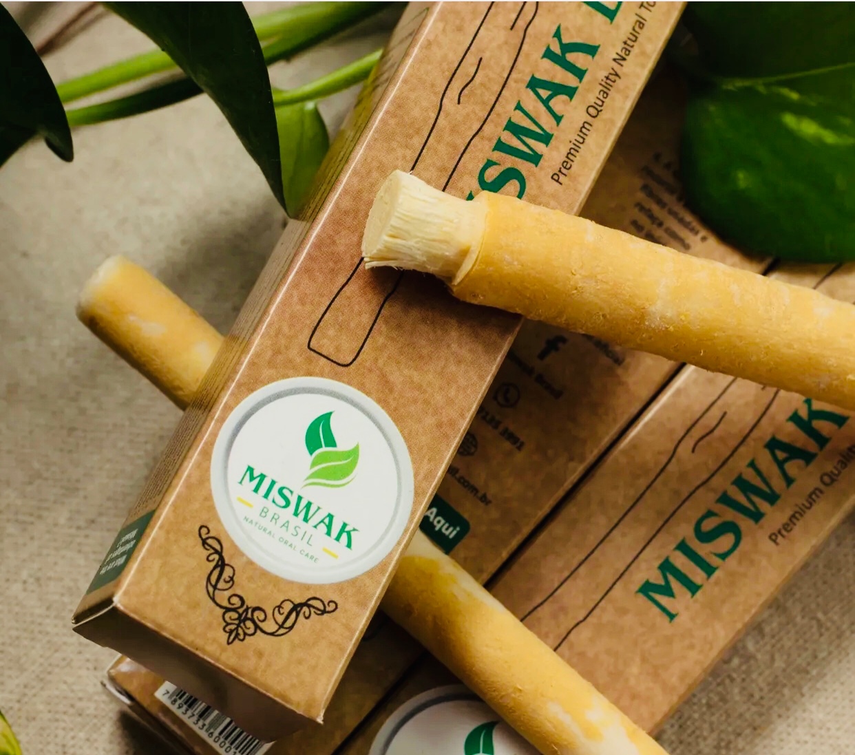 Miswak Brasil estreia na Naturaltech com produto milenar, natural e 100% ecológico