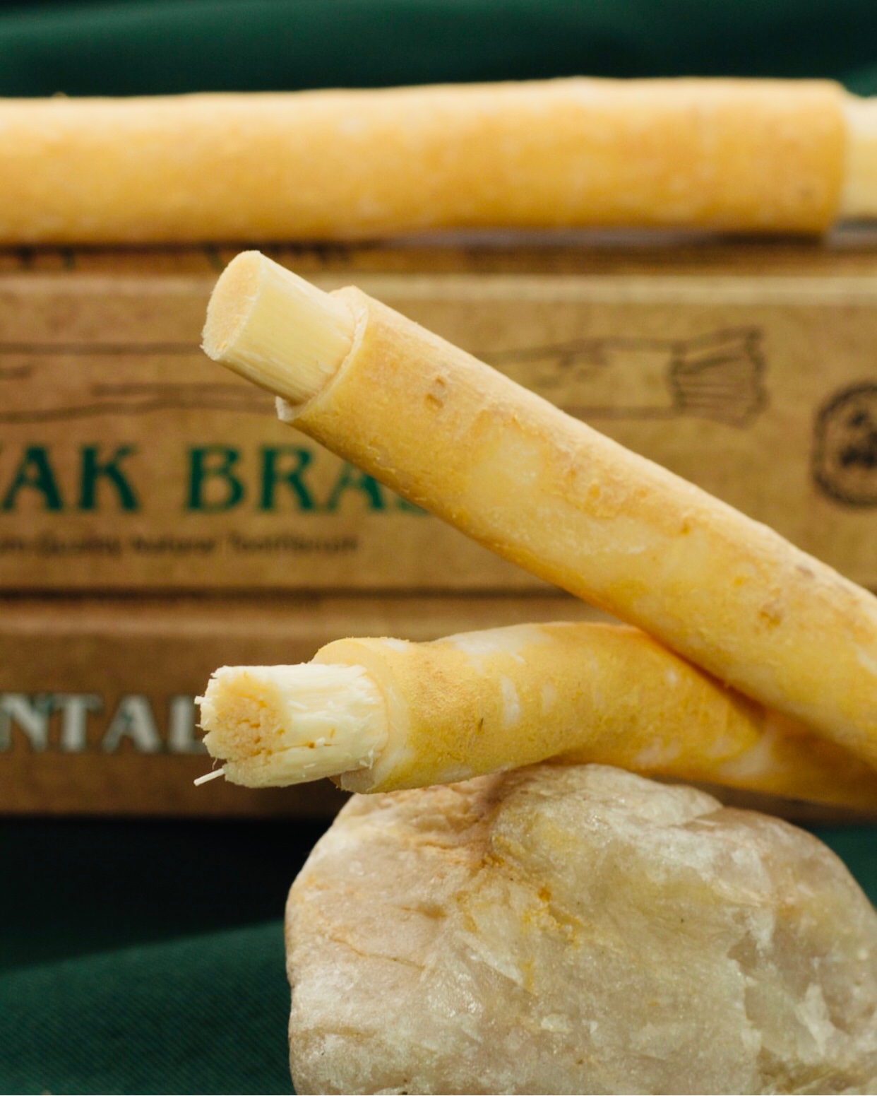 Miswak Brasil estreia na Naturaltech com produto milenar, natural e 100% ecológico